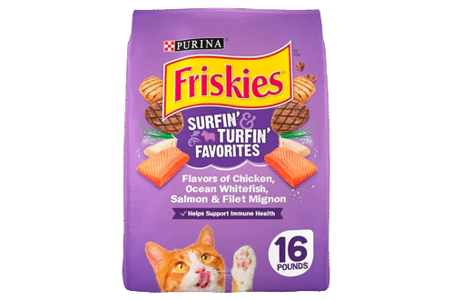 Purina Friskies Dry Cat Food for Adult Cats & Kittens, Surfin’ & Turfin